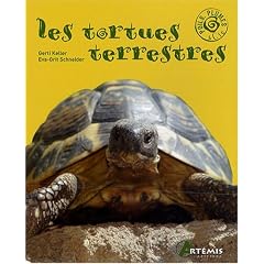 Tortues Terrestres