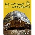 Tortues Terrestres
