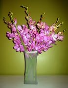 Floral Fresh Cut Flowers - Nora Mokara Orchids with Vase