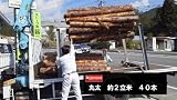 カラマツ丸太（薪用原木）2ｍ物　2㎥　末口約10～20ｃｍ×約40本　長野県　茅野市・諏訪市・原村・女神湖周辺・富士見町の地域限定販売