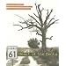 Highway 61: Heart of the Delta