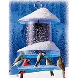 All Weather Feeder 6 Quart