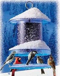 All Weather Feeder 6 Quart