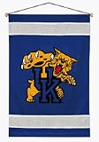 Kentucky Wildcats 29.5 x 45 Coordinating NCAA Sidelines Collection Wall Hanging from Kentex
