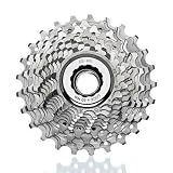 Campagnolo 2010 Centaur UD 10-Speed Steel Road Bicycle Cassette