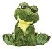 Aurora Plush 10" Dreamy Eyes Frog "Fantabulous"