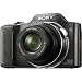Sony Cyber-shot DSC-H20/B 10.1 MP Digital Camera with 10x Optical Zoom and Super Steady Shot Image Stabilization