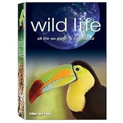 Wild Life