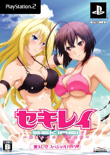 セキレイ 〜未来からのおくりもの-イメージ