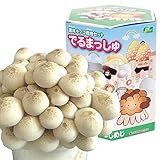 国華園　きのこ栽培キット　ぶなしめじ　1箱