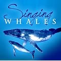 Singing Whales / Chants des baleines