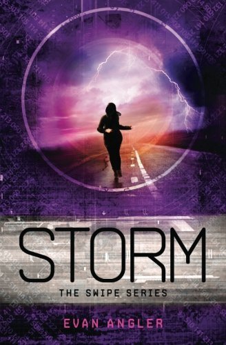 Storm (Swipe Series) by Angler, Evan (2013) Paperback
