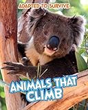 Animals that climb