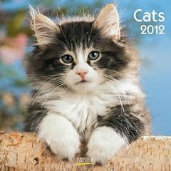 Cats 2012. Brosch�renkalender