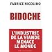 Bidoche. L'industrie de la viande menace le monde
