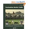 Faszination Border Collie: Die Ausbildung der Arbeitshunde am Vieh