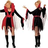 Shirley of Hollywood HIGH PRIESTESS X7526