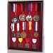 Military Medals, Pins, Patches, Insignia, Ribbons Display Case Cabinet (MPC01(RED)-CH)