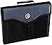 Case-it 13-Pocket Expanding File with Handle and Shoulder Strap, EFF-30-BLK