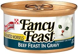 Fancy Feast Gourmet Cat Food, Marinated Morsels Beef Feast in Gravy, 3-Ounce Cans (Pack of 24)