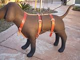 Iwalkmydog No-pull, No-jump Leather Harness