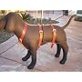 Iwalkmydog No-pull, No-jump Leather Harness