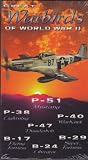 Great Warbirds of World War II: P-51 Mustang, P-38 Lightning, P-40 Warhawk, P-47 Thunderbolt, B-a7 Flying Fortress, B-24 Liberator, & B-29 Super Fortress