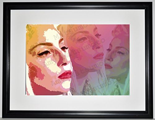 Lady Gaga 19x25 Custom Framed Limited Edition Print by Amy Matsumoto