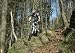 518s5lBoWkL. SL75  Downhill Freeride