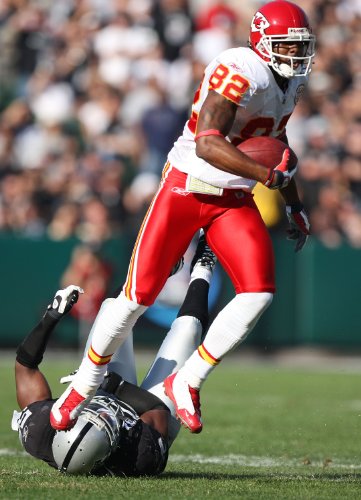 Dwayne Bowe 11x17 HD Photo Poster Kansas City Chiefs #02