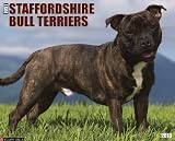 Staffordshire Bull Terriers 2013 Wall Calendar
