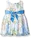 Sweet Heart Rose Baby Girls' Sleeveless Floral Striped Organza Box Pleated Dress