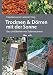 Trocknen und Dörren mit der Sonne: Bau und Betrieb von Solartrocknern