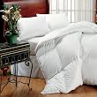 Queen Size White Feathers & Down Comforter