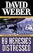  : By Heresies Distressed (Safehold)