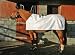 Horseware Fly Sheet Liner