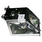 Electrified BP96-00677A Replacement Lamp with Housing for Samsung TVs - 150 Day Electrified Warranty