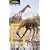 National Geographic Traveler: South Africa