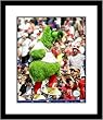 Philly Phanatic Philadelpha Phillies MLB Framed 8x10 Photograph Mascot