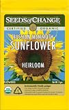 Seeds of Change S10846 Certified Organic Russian Mammoth Sunflower