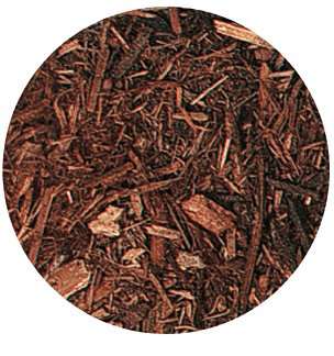 Zoo Med Forest Floor Bedding, 24 Quarts