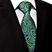 Shlax & Wing Men's Neckties Ties Paisley Green Purple Accessories