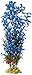 Aquatic Creations Hygrophilia Aquarium Plant, 15-Inch, Blue
