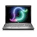 HP Pavilion DV7-1020US 17" Laptop (2.0 GHz Intel Core 2 Duo P7350 Processor, 4 GB RAM, 320 GB Hard Drive, Blu Ray Drive, Vista Premium) Black