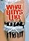 What Boys Like