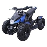 24v Mini Quad Electric Powered 2012 Model 