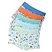 Bala Bala Underwear Brief Boys Boxer Briefs 5-pack Cartoon Underwear Boxers for Boy