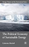 The political economy of sustainable energy