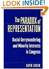 The Paradox of Representation