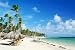 Caribbean Resort Beach with Palm Trees and Sunshades - 18